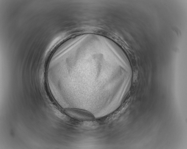 X0000111130101200907281059