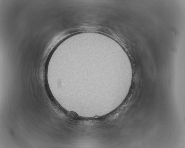 X0000111130103200907281059