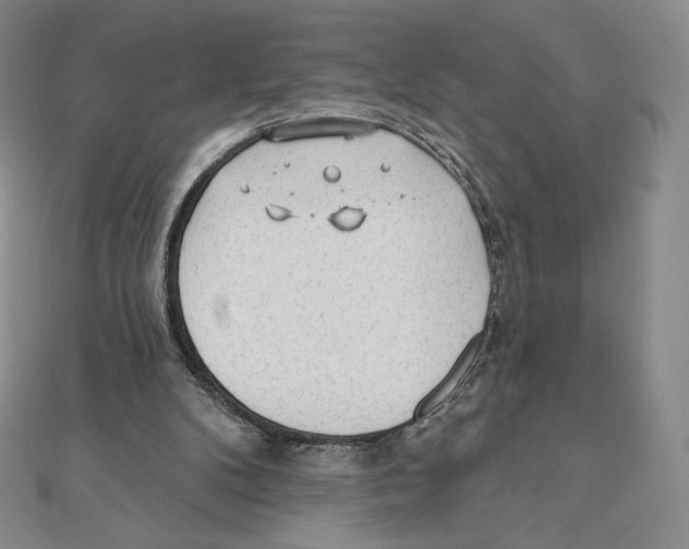 X0000111130104200907281059