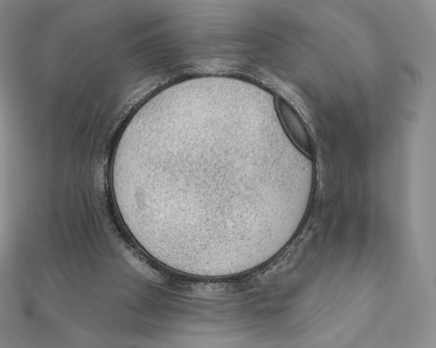 X0000111130105200907281059
