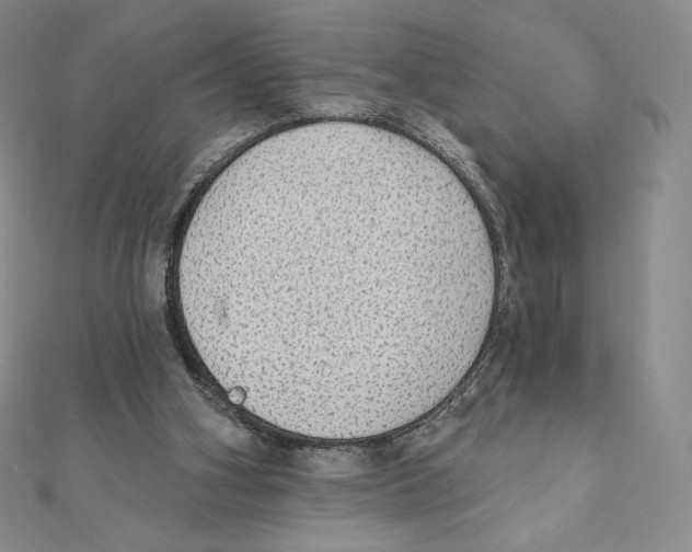 X0000111130106200907281059