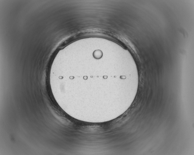 X0000111130108200907281059