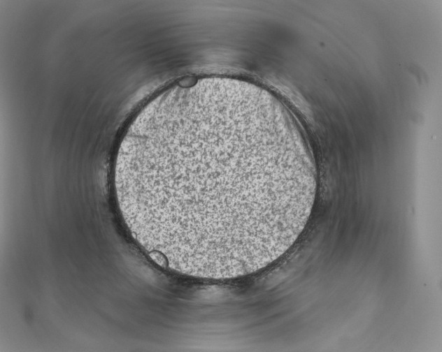 X0000111130111200907281059