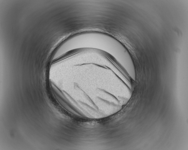 X0000111130112200907281059