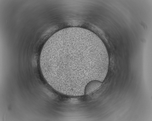 X0000111130114200907281059