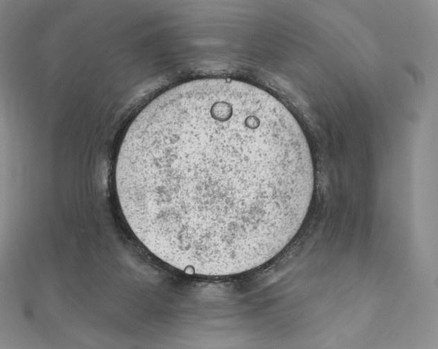 X0000111130115200907281059