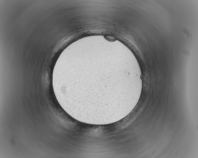 X0000111130116200907281059