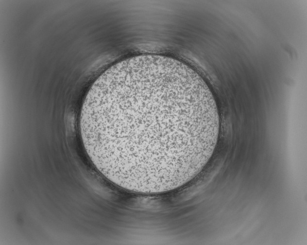 X0000111130117200907281059