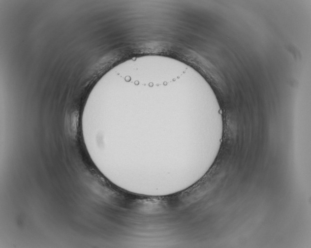 X0000111130118200907281059