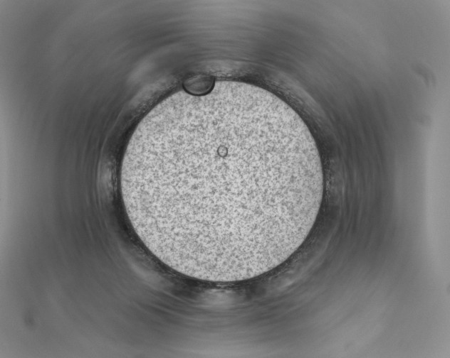 X0000111130119200907281059