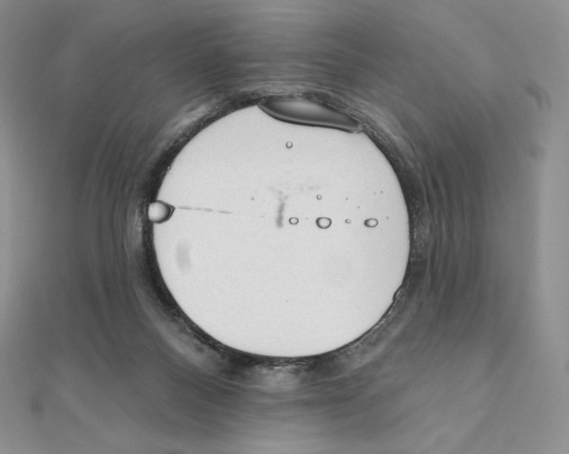 X0000111130120200907281059