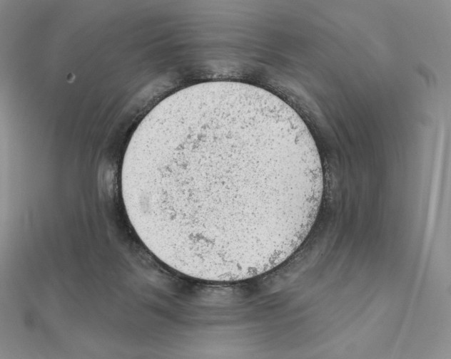 X0000111130123200907281059