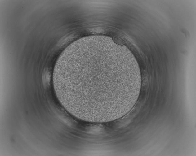 X0000111130124200907281059