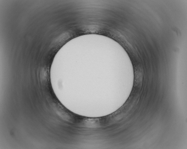 X0000111130126200907281059