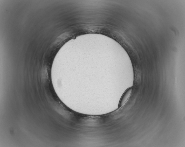 X0000111130128200907281059