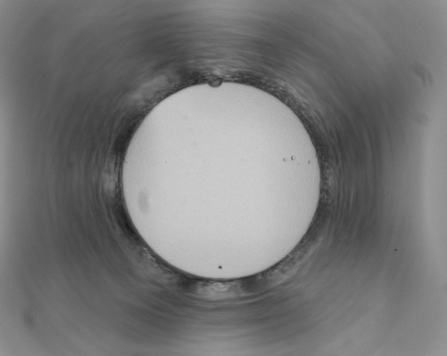 X0000111130129200907281059