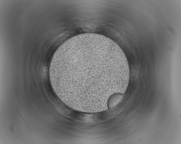 X0000111130130200907281059