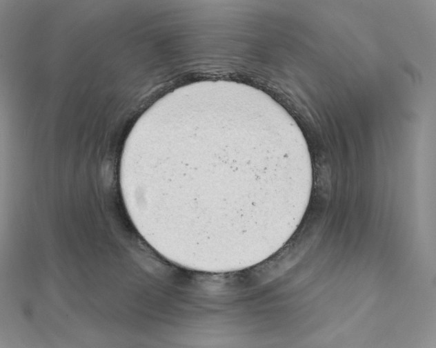 X0000111130131200907281059
