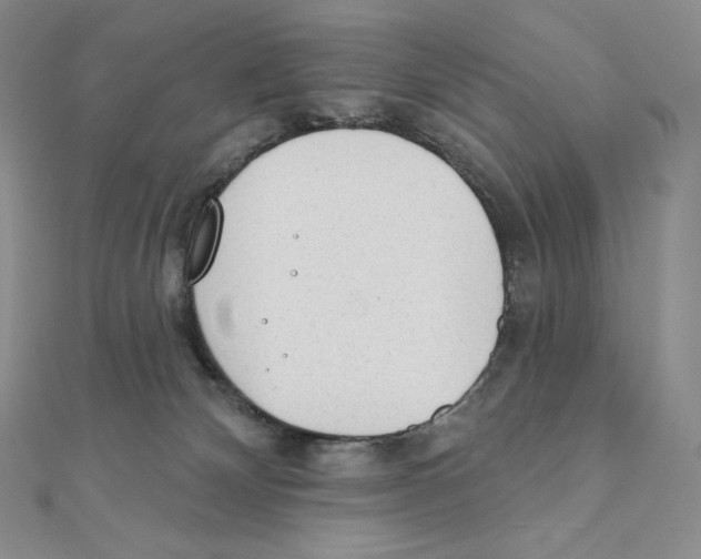 X0000111130132200907281059