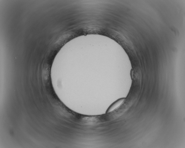X0000111130133200907281059