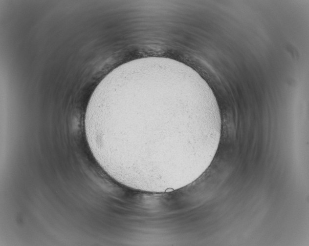 X0000111130134200907281059