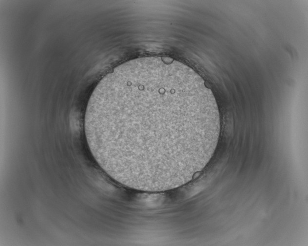 X0000111130135200907281059
