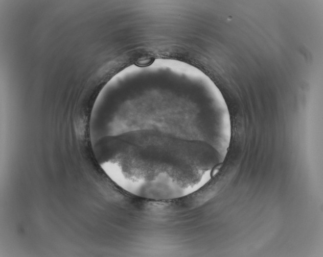 X0000111130139200907281059