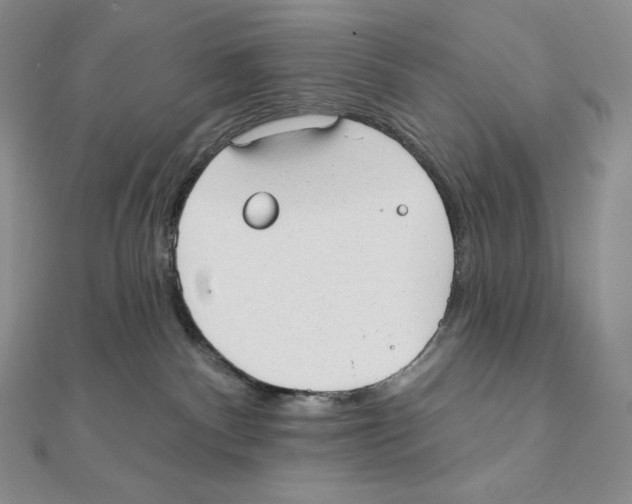 X0000111130140200907281059