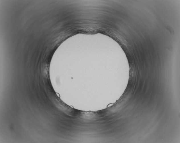 X0000111130141200907281059