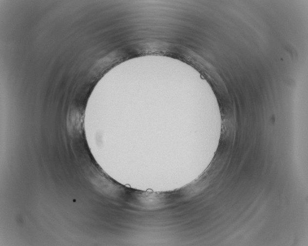 X0000111130142200907281059