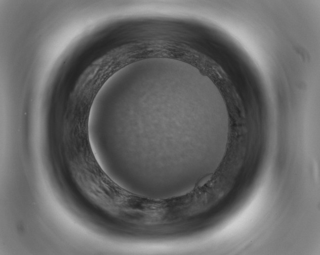 X0000111130143200907281059