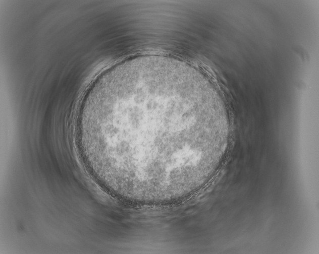 X0000111130145200907281058