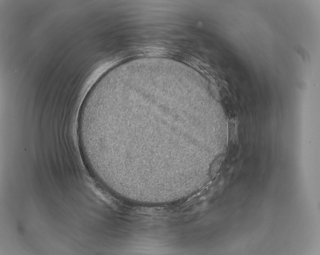 X0000111130147200907281058
