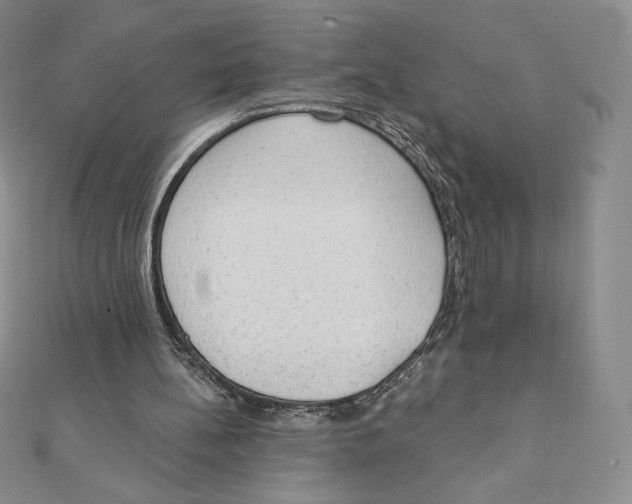 X0000111130148200907281058