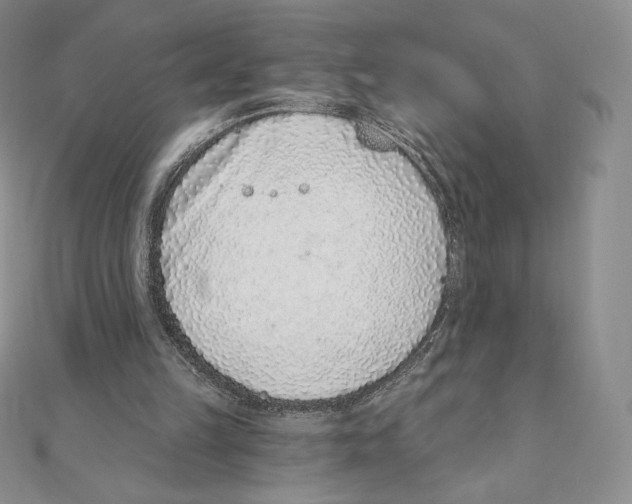 X0000111130149200907281058