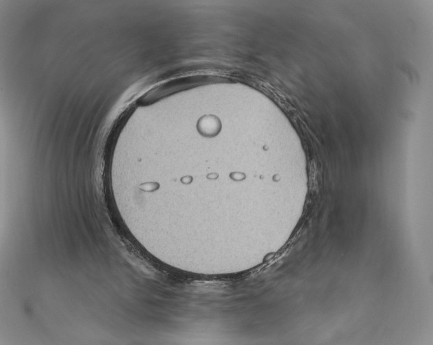 X0000111130150200907281058