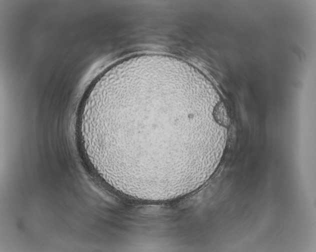 X0000111130151200907281058