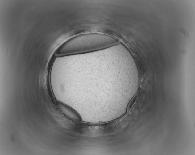 X0000111130152200907281058