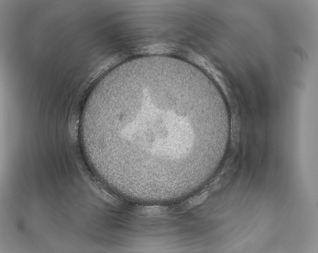 X0000111130153200907281058