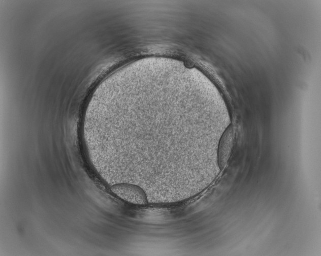 X0000111130154200907281058