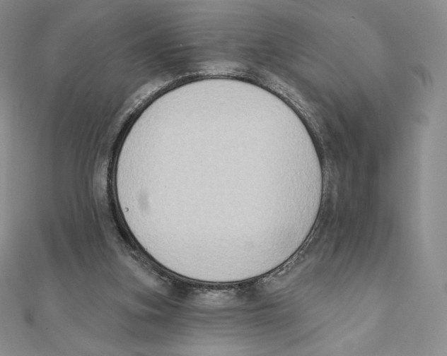 X0000111130155200907281058