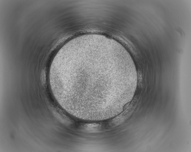 X0000111130158200907281058