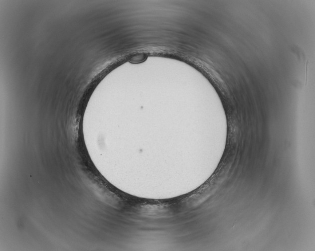 X0000111130160200907281059
