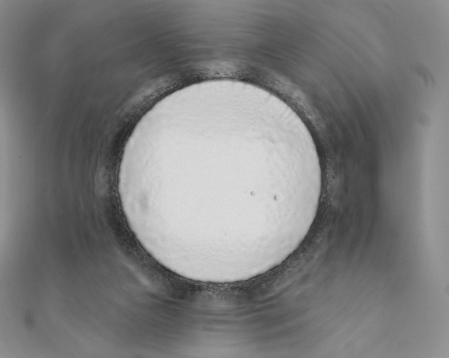 X0000111130161200907281059