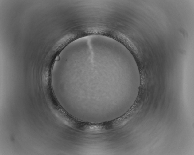 X0000111130163200907281059