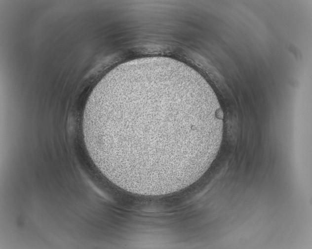 X0000111130165200907281059