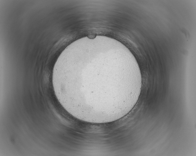 X0000111130166200907281059