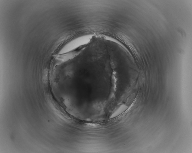 X0000111130167200907281059
