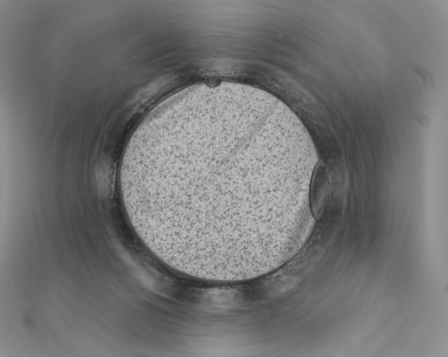 X0000111130168200907281059