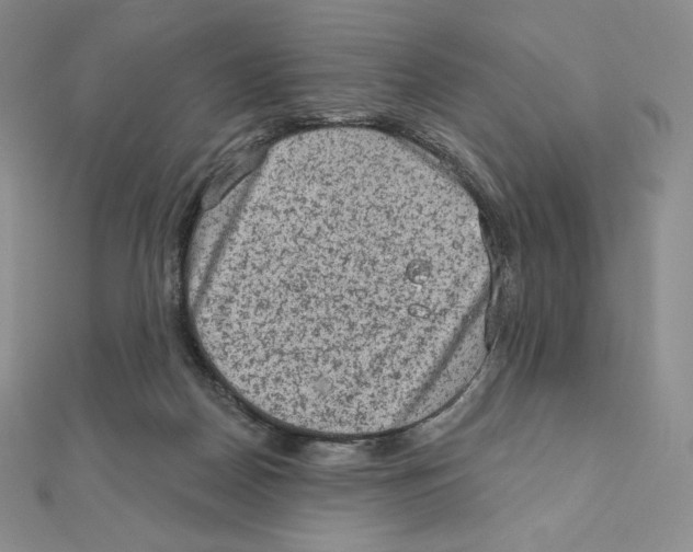 X0000111130170200907281059